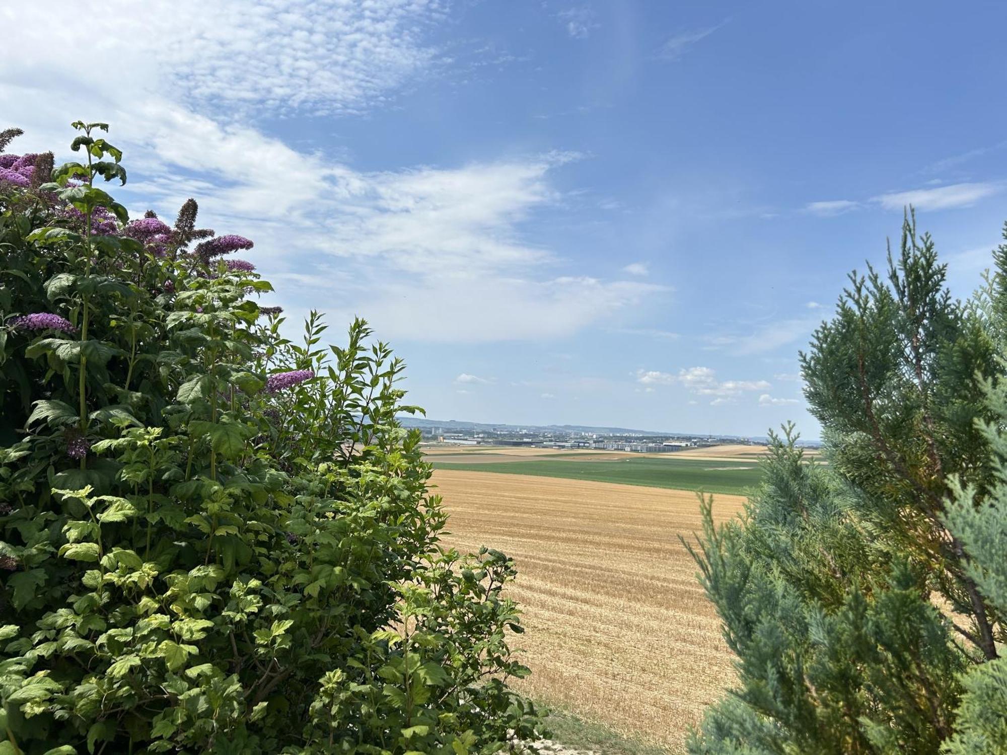 Villa Le Charme Cernay-les-Reims Exterior foto